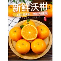 广西武鸣沃柑10斤新鲜水果当季整箱一级大果特级皇帝橘子砂糖桔子